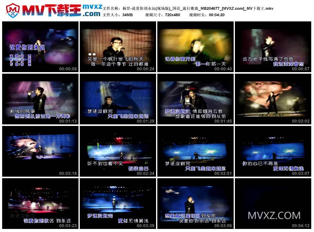 杨罡-说爱你到永远(现场版)_国语_流行歌曲_MB204677